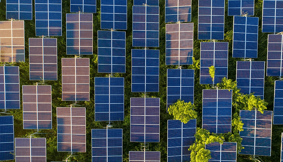 What Solar Panels Should I Choose?